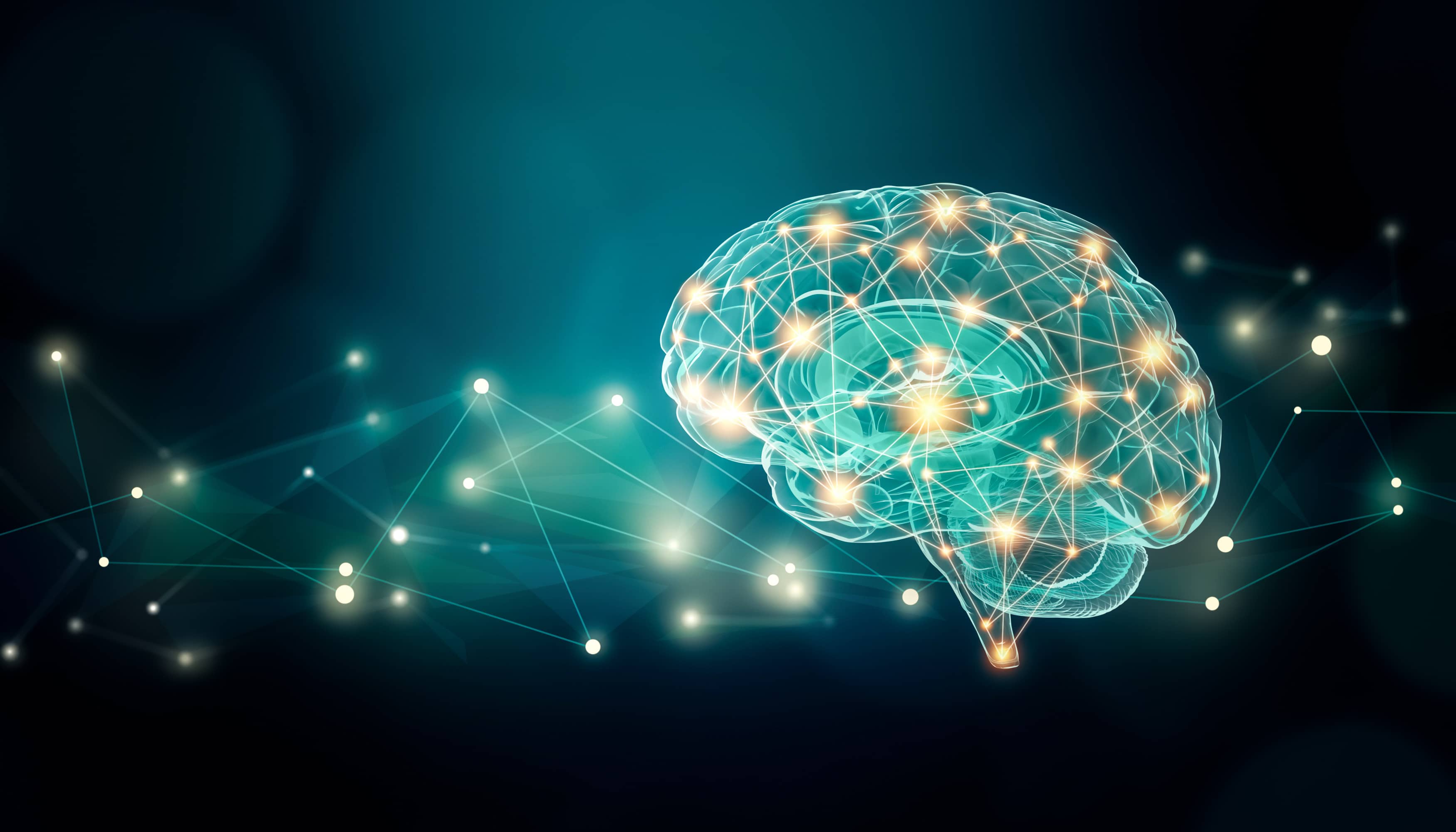 Speed Up Brain Fitness With Simple Brain Exercises And Brain Training speed-up-brain-fitness-with-simple-brain-exercises-and-brain-training